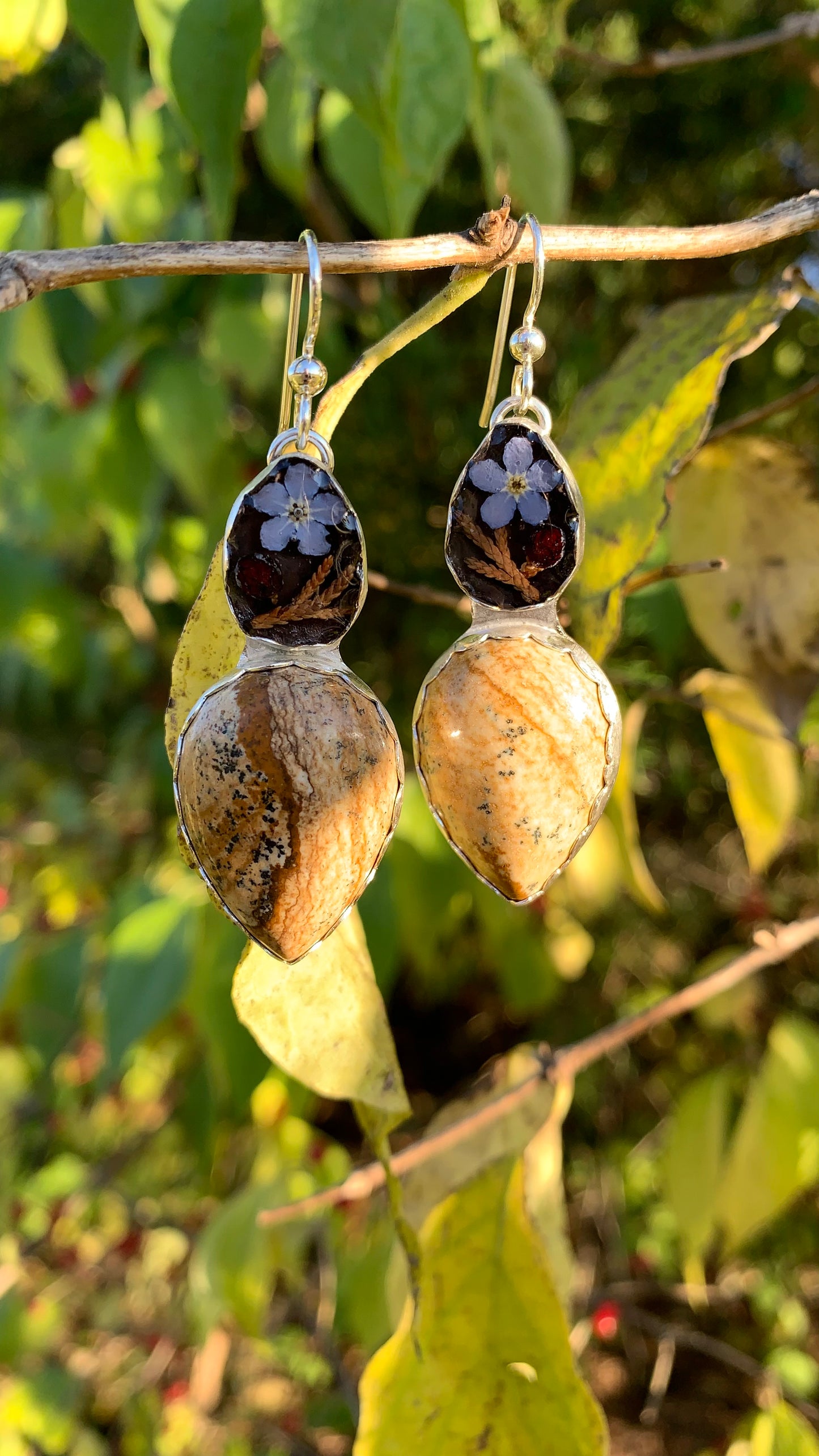 Picture Jasper Earrings