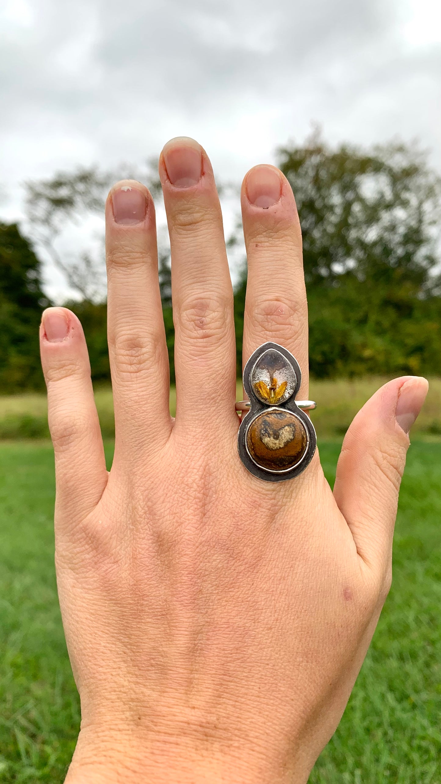 Picture Jasper Statement Ring