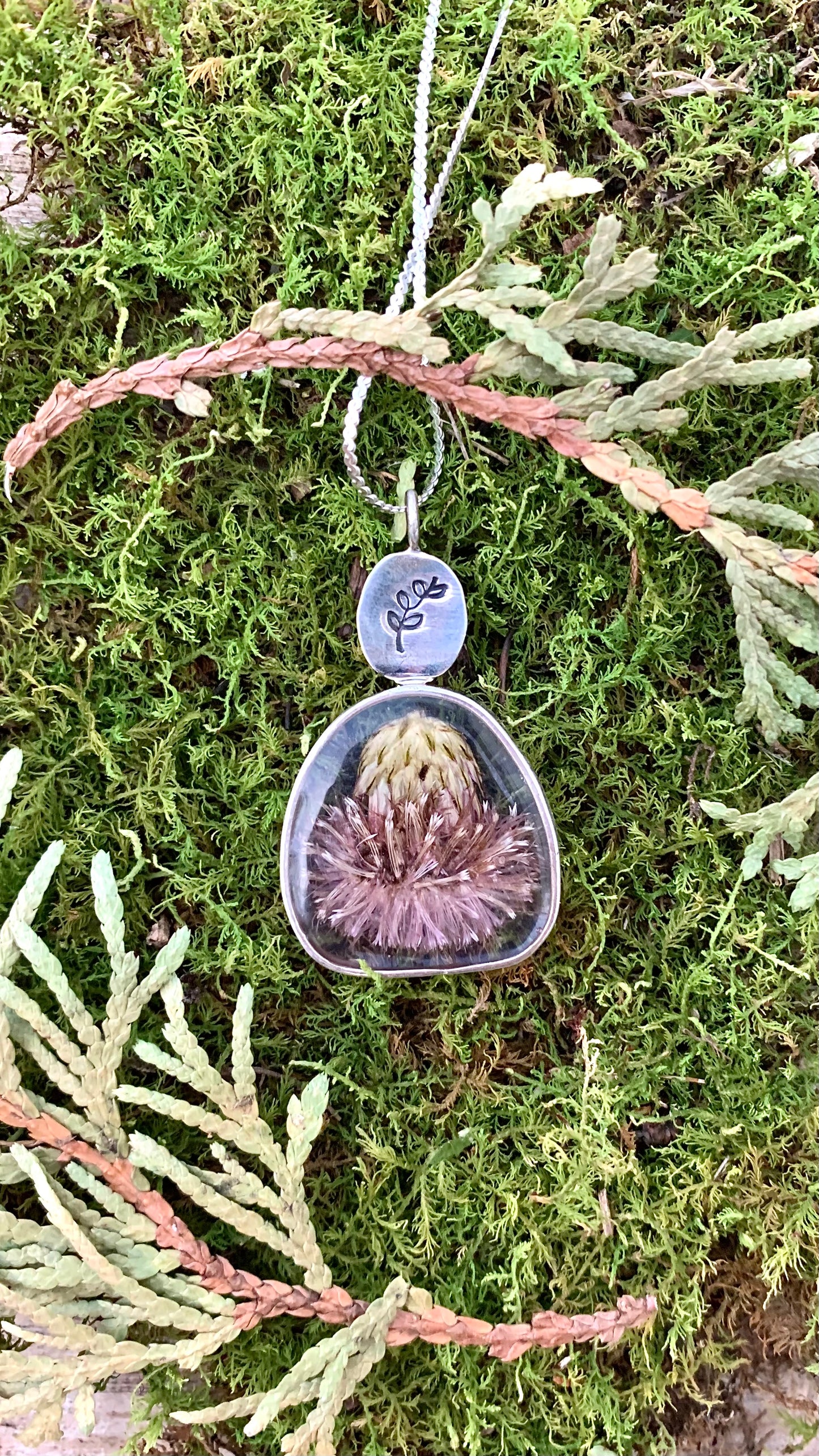 Thistle & Moss Kyanite Necklace